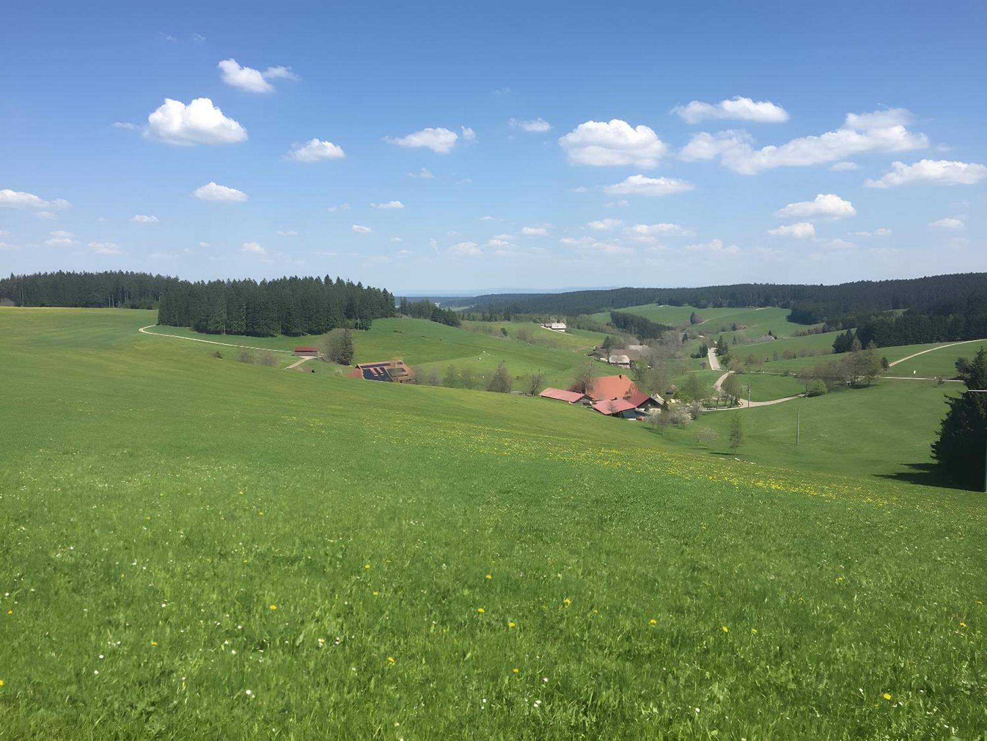 Blackforest Ferienwohnung Sankt Georgen im Schwarzwald Exterior photo